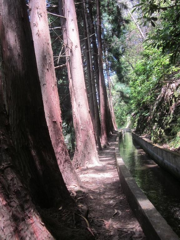 Вилла O Meu Sonho Кальета Экстерьер фото